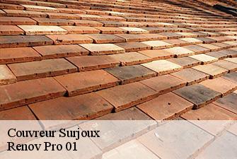 Couvreur  surjoux-01420 Renov Pro 01