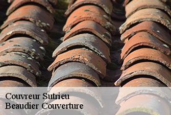 Couvreur  sutrieu-01260 Beaudier Couverture 