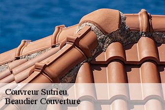 Couvreur  sutrieu-01260 Beaudier Couverture 