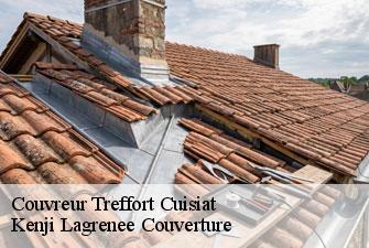 Couvreur  treffort-cuisiat-01370 Kenji Lagrenee Couverture