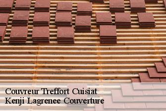 Couvreur  treffort-cuisiat-01370 Kenji Lagrenee Couverture