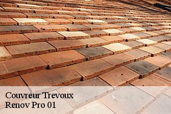 Couvreur  trevoux-01600 Renov Pro 01