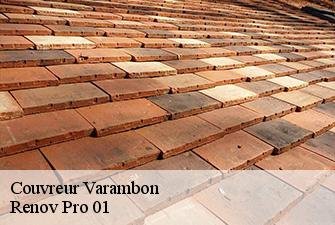 Couvreur  varambon-01160 Renov Pro 01