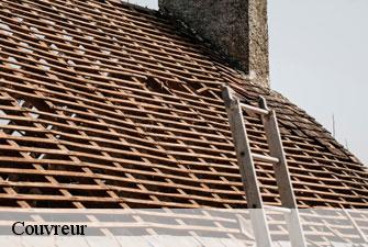 Couvreur versailleux-01330 Kenji Lagrenee Couverture