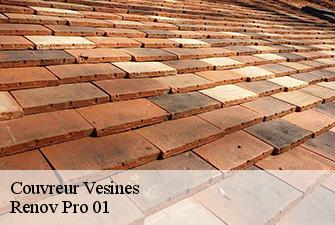 Couvreur  vesines-01570 Renov Pro 01