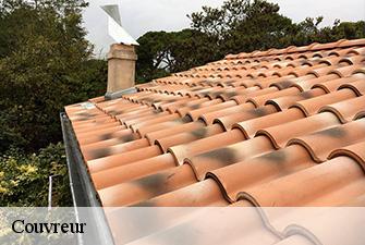 Couvreur  vieu-d-izenave-01430 Renov Pro 01