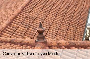Couvreur  villieu-loyes-mollon-01800 