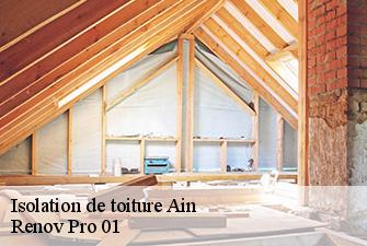 Isolation de toiture 01 Ain  Renov Pro 01