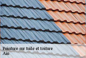 Peinture sur tuile et toiture 01 Ain  Beaudier Couverture 