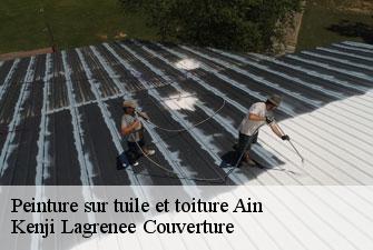 Peinture sur tuile et toiture 01 Ain Kenji Lagrenee Couverture