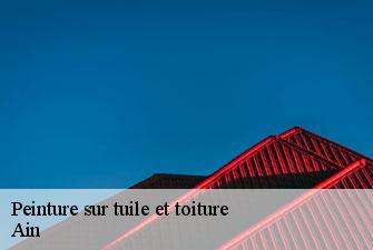 Peinture sur tuile et toiture 01 Ain Kenji Lagrenee Couverture
