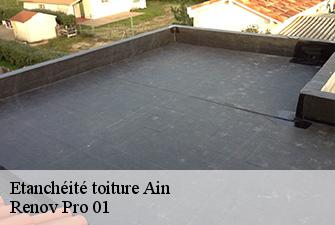 Etanchéité toiture 01 Ain  Renov Pro 01
