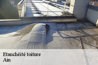 Etanchéité toiture 01 Ain  Renov Pro 01