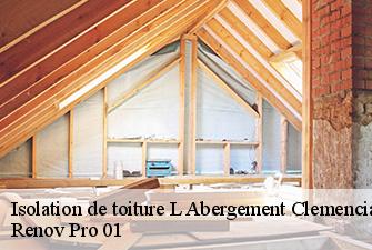 Isolation de toiture  l-abergement-clemenciat-01400 Renov Pro 01