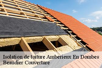 Isolation de toiture  amberieux-en-dombes-01330 Beaudier Couverture 
