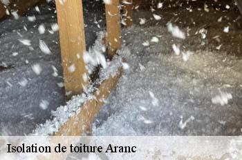 Isolation de toiture  aranc-01110 