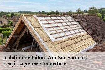 Isolation de toiture ars-sur-formans-01480 Kenji Lagrenee Couverture