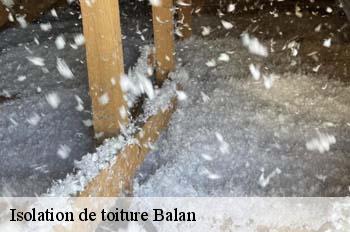 Isolation de toiture  balan-01360 