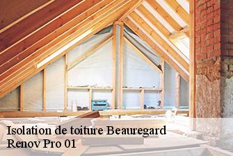 Isolation de toiture  beauregard-01480 Renov Pro 01