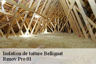 Isolation de toiture  bellignat-01810 Renov Pro 01