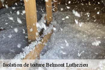 Isolation de toiture  belmont-luthezieu-01260 