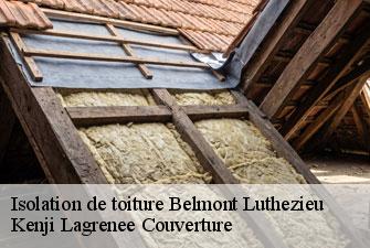 Isolation de toiture belmont-luthezieu-01260 Kenji Lagrenee Couverture