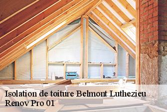 Isolation de toiture  belmont-luthezieu-01260 Renov Pro 01