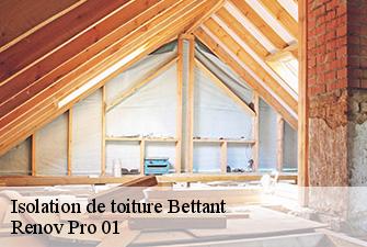 Isolation de toiture  bettant-01500 Renov Pro 01