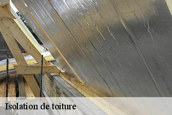 Isolation de toiture  beynost-01700 Renov Pro 01