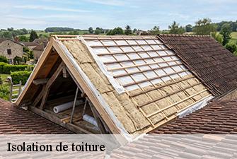Isolation de toiture  billiat-01200 Beaudier Couverture 