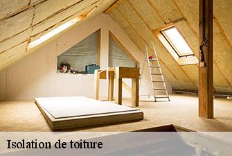 Isolation de toiture  birieux-01330 Renov Pro 01
