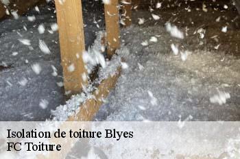 Isolation de toiture  blyes-01150 