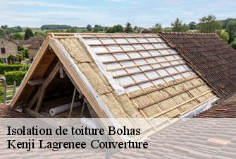 Isolation de toiture bohas-01250 Kenji Lagrenee Couverture