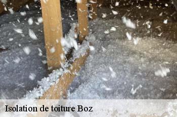 Isolation de toiture  boz-01190 