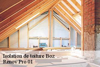 Isolation de toiture  boz-01190 Renov Pro 01