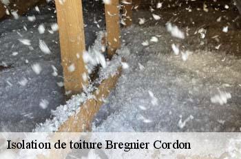 Isolation de toiture  bregnier-cordon-01300 