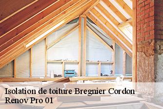 Isolation de toiture  bregnier-cordon-01300 Renov Pro 01