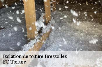 Isolation de toiture  bressolles-01360 