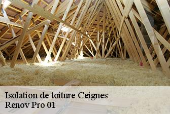 Isolation de toiture  ceignes-01430 Renov Pro 01