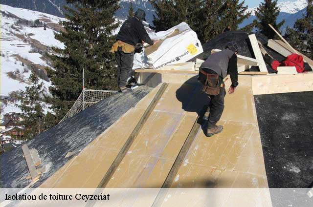 Isolation de toiture  ceyzeriat-01250 