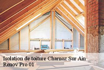 Isolation de toiture  charnoz-sur-ain-01800 Renov Pro 01