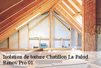 Isolation de toiture  chatillon-la-palud-01320 Renov Pro 01