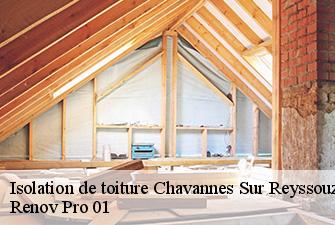 Isolation de toiture  chavannes-sur-reyssouze-01190 Renov Pro 01