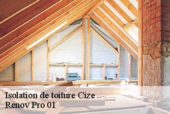 Isolation de toiture  cize-01250 Renov Pro 01
