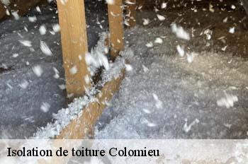 Isolation de toiture  colomieu-01300 
