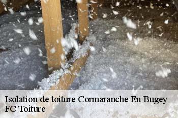 Isolation de toiture  cormaranche-en-bugey-01110 FC Toiture