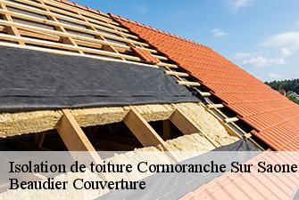 Isolation de toiture  cormoranche-sur-saone-01290 Beaudier Couverture 