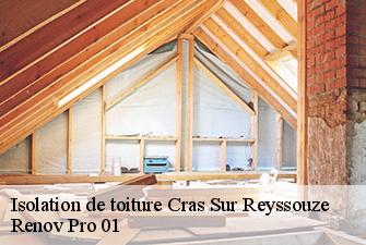 Isolation de toiture  cras-sur-reyssouze-01340 Renov Pro 01