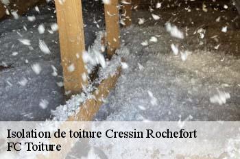 Isolation de toiture  cressin-rochefort-01350 FC Toiture