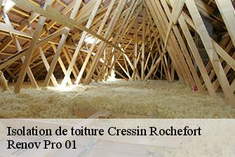 Isolation de toiture  cressin-rochefort-01350 Renov Pro 01